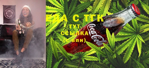 метамфетамин Ельня