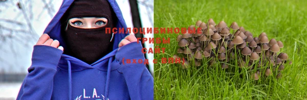 mdpv Нефтекумск