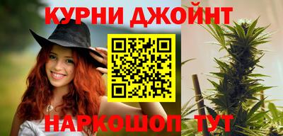 сатива Бийск