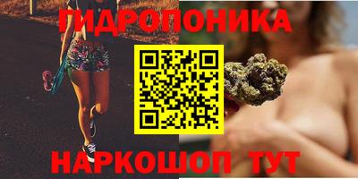 стафф Ипатово