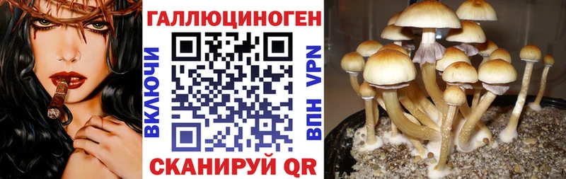где купить   Донецк  Галлюциногенные грибы GOLDEN TEACHER 