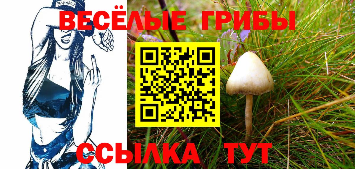 Галлюциногенные грибы Magic Shrooms  Донецк 