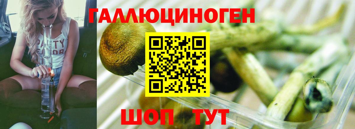 Псилоцибиновые грибы MAGIC MUSHROOMS Донецк